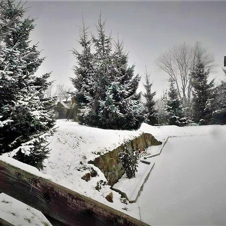 Cottage Ozerniy Lazeshchyna Εξωτερικό φωτογραφία