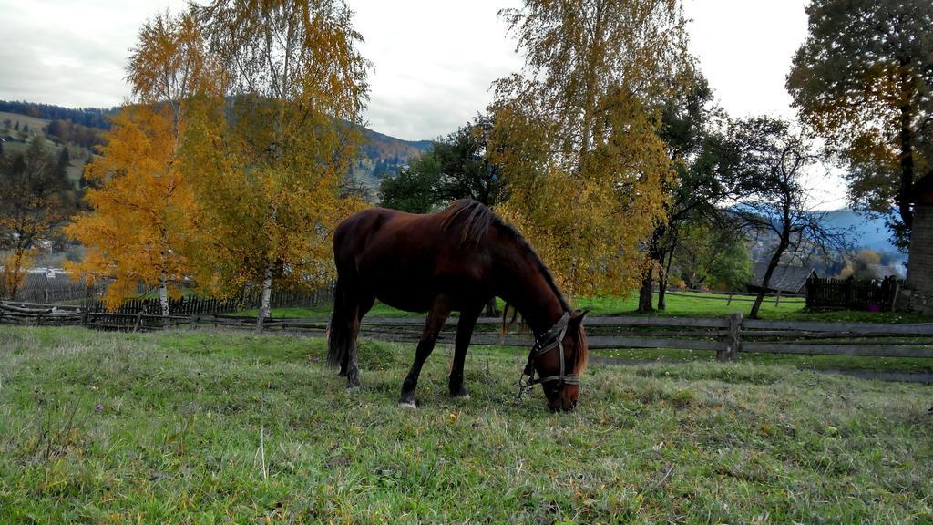 Cottage Ozerniy Lazeshchyna Εξωτερικό φωτογραφία